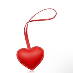 Red Heart-Shaped Bag Charm New
